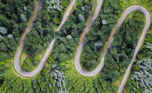 Aerial view of a cars driving on winding road through the green forest