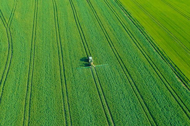 Aerial view of agricultural tractor spraying wheat field stock photo