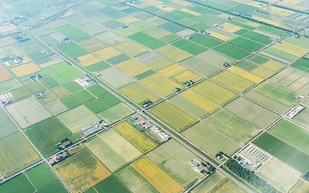 Aerial view of agriculture field in summer at chitose hokkaido Aerial view from airplane of agriculture field in summer at chitose hokkaido japan satoyama scenery stock pictures, royalty-free photos & images