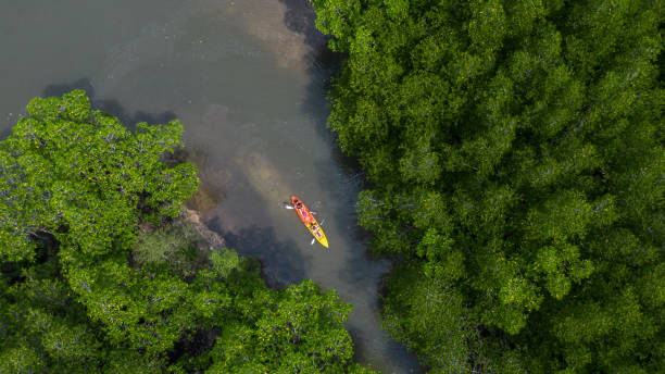 vue aérienne d'ao tha lane près de krabi, ao tha lane endroit célèbre pour le kayak sur la rivière avec la montagne et la forêt de mangrove, krabi, thaïlande. - kayak mangrove photos et images de collection