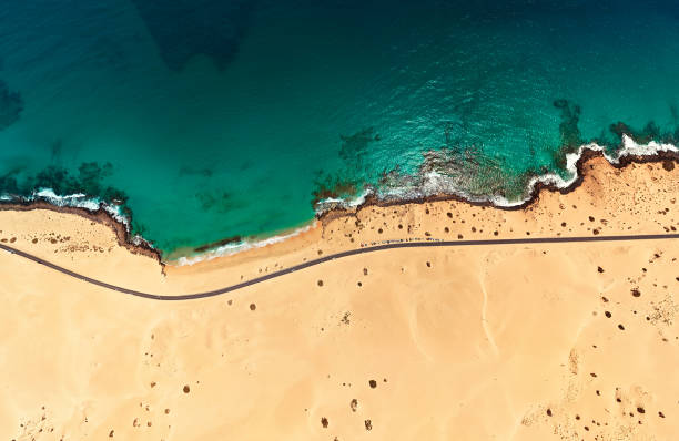 Aerial view of beach in Corralejo Park, Fuerteventura, Canary Islands Top aerial view of Corralejo Park coast, Fuerteventura, Spain canary islands stock pictures, royalty-free photos & images