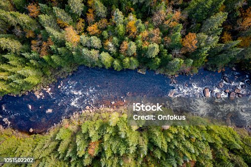 istock Aerial View of Boreal Forest Nature in Autumn Season, Quebec, Canada 1051502202