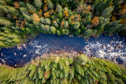 Aerial View of Boreal Forest Nature and River in Autumn Season, Quebec, Canada