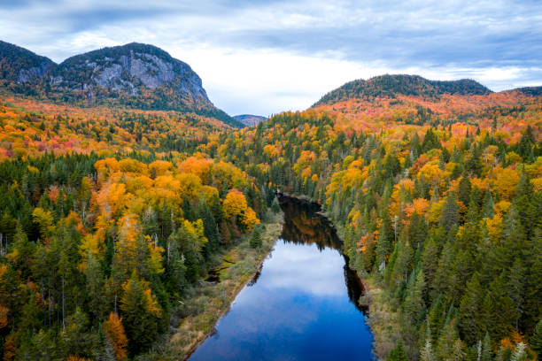 Aerial View of Boreal Forest Nature in Autumn Season, Quebec, Canada Aerial View of Boreal Forest Nature and River in Autumn Season, Quebec, Canada boreal forest stock pictures, royalty-free photos & images