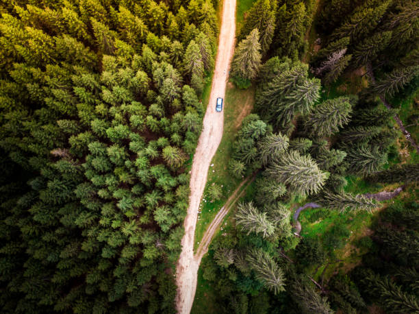 Aerial view of car on winding forest road in wilderness Color image depicting an aerial view - image shot via drone -  of a car driving on a winding mountain road in the middle of thick forest. The narrow dirt road is flanked entirely by thick green forest. wilderness area stock pictures, royalty-free photos & images