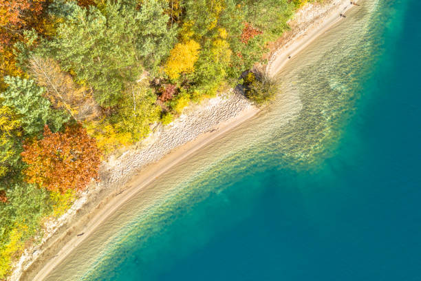 Aerial view of coastline in mixed autumn forest stock photo