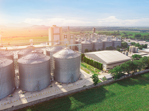 Aerial view of drone,Agricultural Silos - Building Exterior, Storage and drying of grains, wheat, corn, soy, sunflower against the golden sky with rice fields.