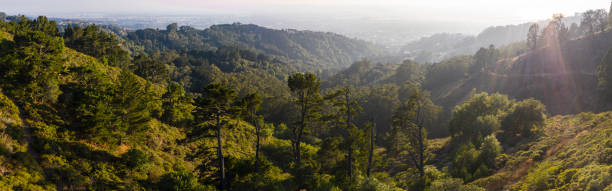 Aerial View of East Bay Hills in Northern California stock photo