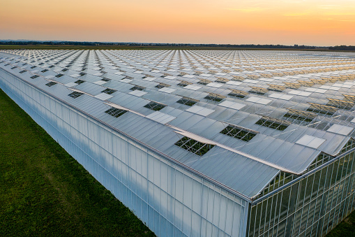 Aerial view of large greenhouse for growing vegetable