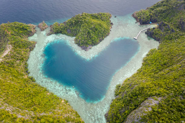 Aerial View of Heart-Shaped Lagoon in Tropics stock photo