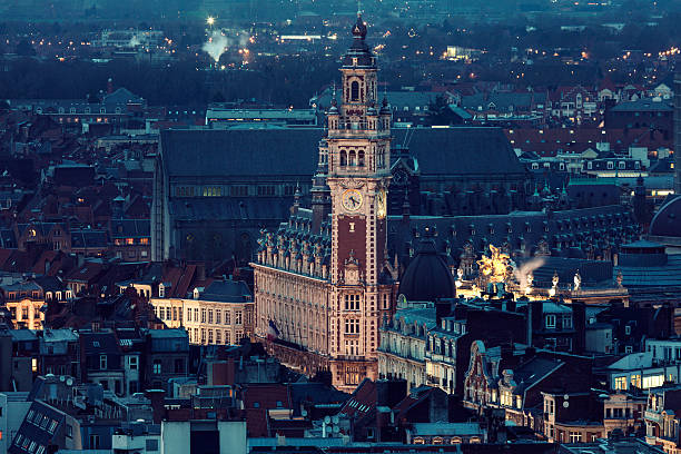 Aerial view of Lille stock photo