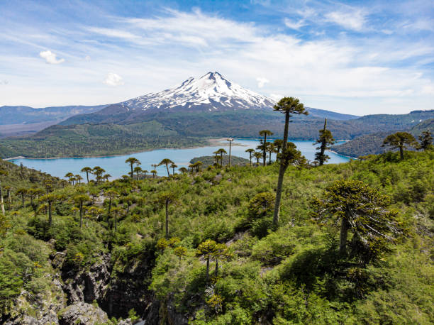 Aerial view of Llaima Volcano and Conguillio Lake in Conguillio National Park stock photo
