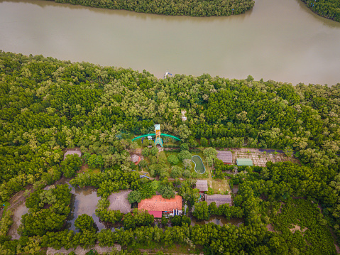 Aerial view of mangrove forest in Vam Sat, Can Gio - Vietnam. Beautiful nature with Tang Bong forest watchtower. Travel concept.