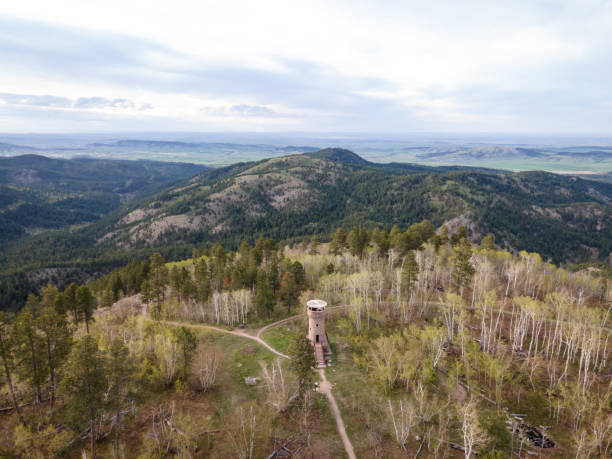 Aerial View of Mount Roosevelt Tower in the Black Hills stock photo