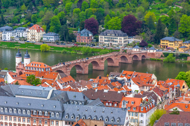 Aerial view of Old bridge in Heidelberg city, Germany Aerial view of Heidelberg city, Baden-Wurttemberg state, Germany. Old town (Altstadt) and Old Karl Theodor bridge (Alte Brucke) over Neckar river on a background odenwald stock pictures, royalty-free photos & images