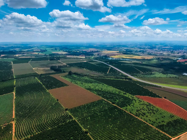 Aerial view of plantations stock photo