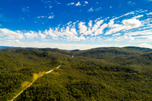 luchtfoto van road bergen in het regenwoud - gabon stockfoto's en -beelden