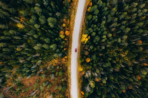 Aerial view of rural road with red car in yellow and orange autumn forest in rural Finland.