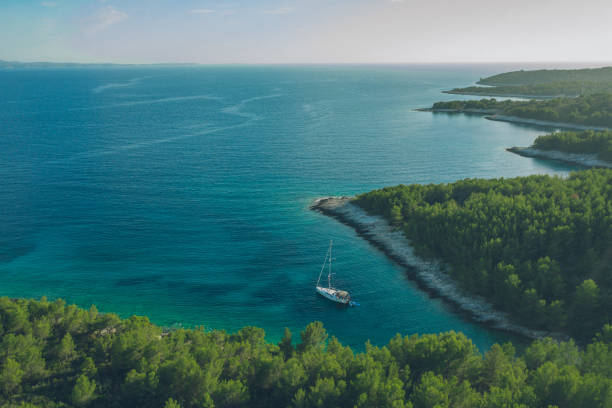 Aerial view of sailboat parked near forested coastline stock photo