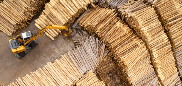 luftaufnahme von sägewerk und gehackten baumholz-holzstämmen in einer reihe mit maschinen - holzlager stock-fotos und bilder