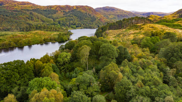 Aerial view of Scottish rural scene with a loch and woodland Image captured from a drone of a Scottish loch and countryside in rural Dumfries and Galloway deciduous tree stock pictures, royalty-free photos & images