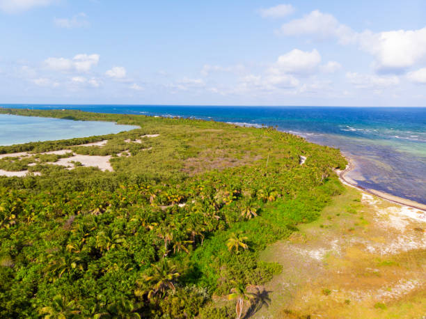 Aerial view of Sian Kaan Biosphere Reserve, Mexico Aerial view of Sian Kaan Biosphere Reserve, Quintana Roo, Mexico bioreserve stock pictures, royalty-free photos & images
