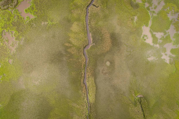 Aerial View of St. Marys, Georgia Marsh stock photo