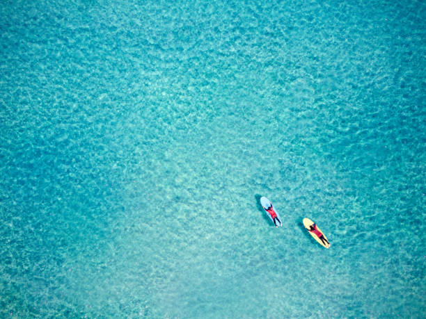 Aerial view of surfers Aerial view of surfers floating on water photos stock pictures, royalty-free photos & images
