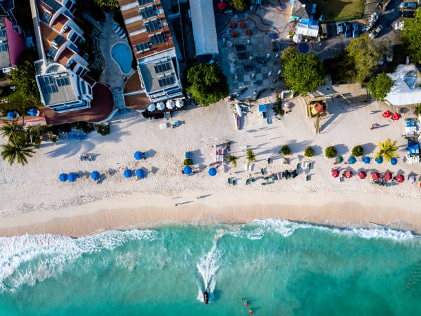 vista aerea della costa alle barbados nei caraibi - barbados foto e immagini stock