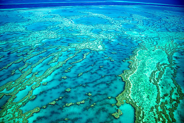 aerial view of the great barrier reef - great barrier reef stok fotoğraflar ve resimler
