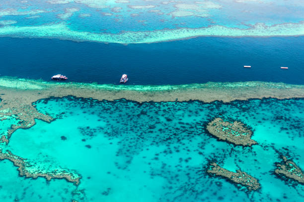 widok z lotu ptaka na wielką rafę koralową - great barrier reef zdjęcia i obrazy z banku zdjęć