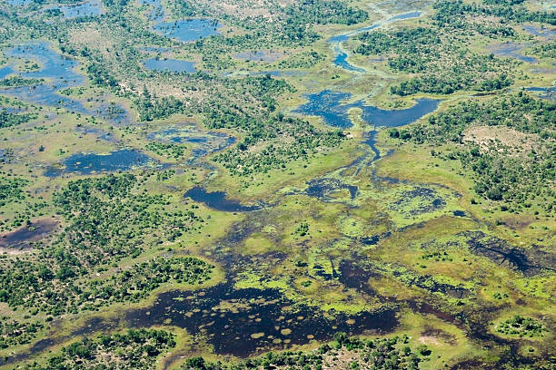 Aerial view of the Okavango Delta wetlands stock photo