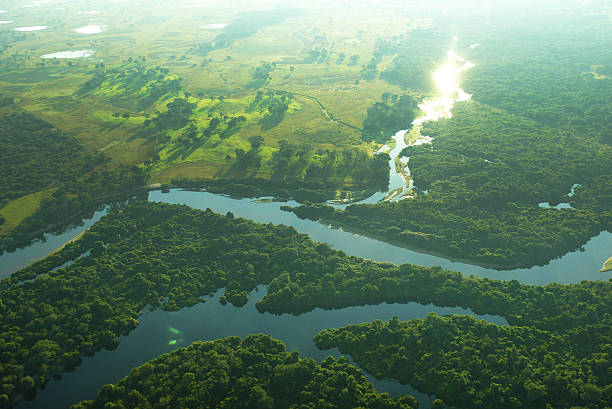 aerial view of the wetlands of the pantanal, brazil - broekland stockfoto's en -beelden