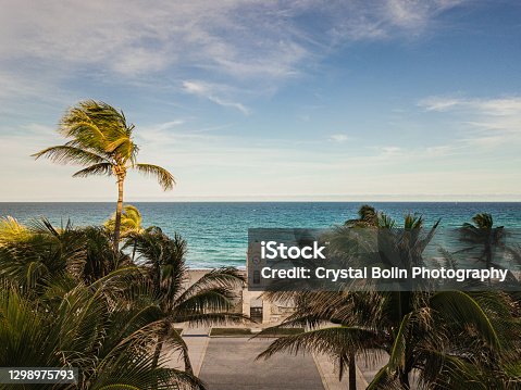 istock Aerial View of the Worth Avenue Clock Tower on Palm Beach, Florida on a Weekday in January 2021 1298975793