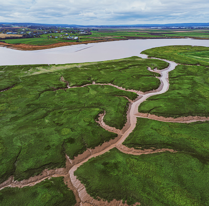 Aerial drone view of a tidal mudflat/grass at low tide on the Bay of Fundy.