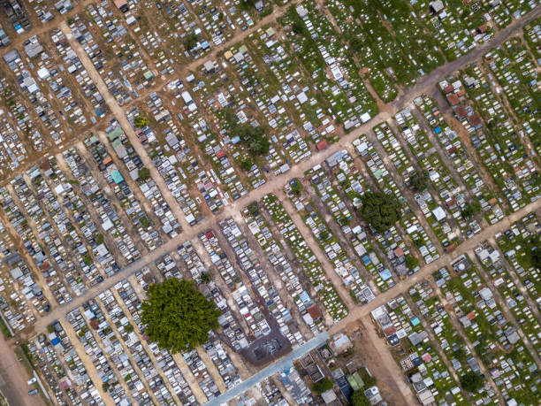 aerial view of tombs in the santo antônio cemetery in the amazon rainforest and forest trees on sunny day in porto velho, brazil. burials for victims of coronavirus, covid-19 in the virus pandemic. - covid cemiterio imagens e fotografias de stock