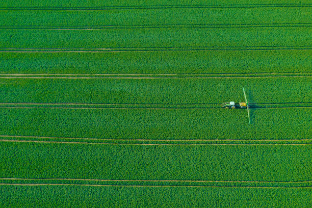 Aerial view of tractor spraying wheat field stock photo