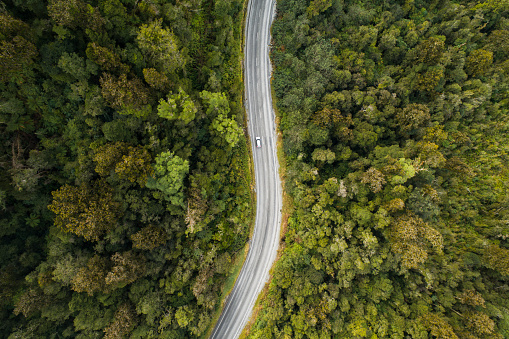 The aerial view of travelling through the native forest.