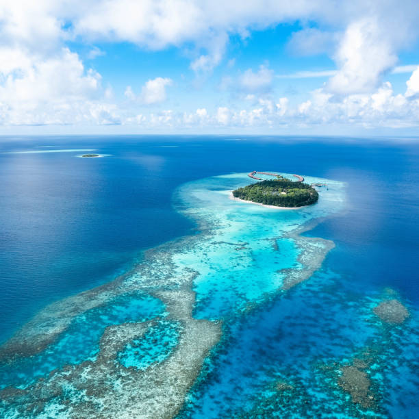 Aerial view of tropical island and coral reef in ocean stock photo
