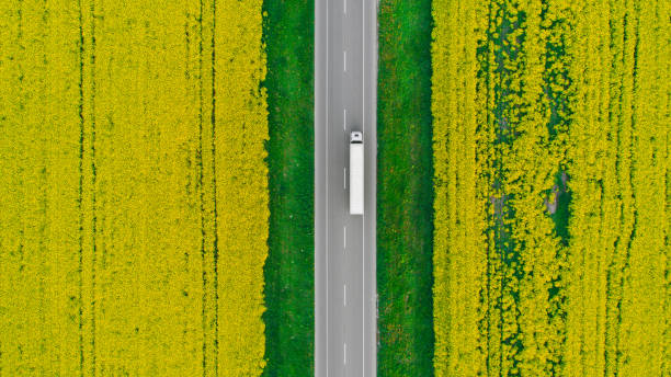 flygfoto över lastbil på motorväg nära det gula fältet av raps - european highway drone bildbanksfoton och bilder