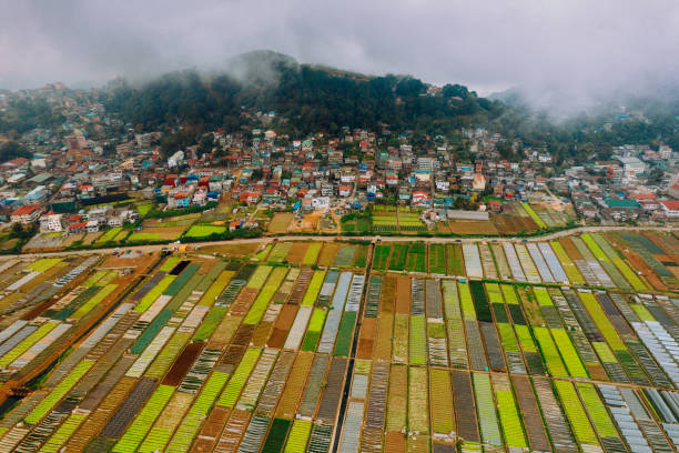 Aerial view of vegetable farms in Baguio City Philippines stock photo