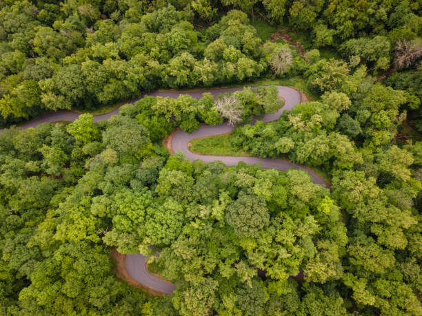 Aerial View of Winding Mountain Road in Appalachian Mountains of North Carolina stock photo
