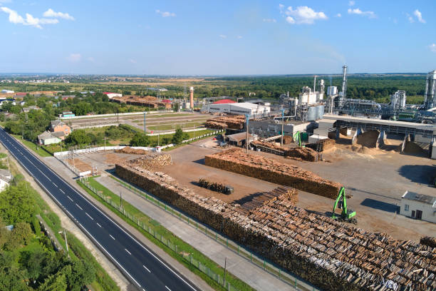 Aerial view of wood processing factory with stacks of lumber at plant manufacturing yard. stock photo