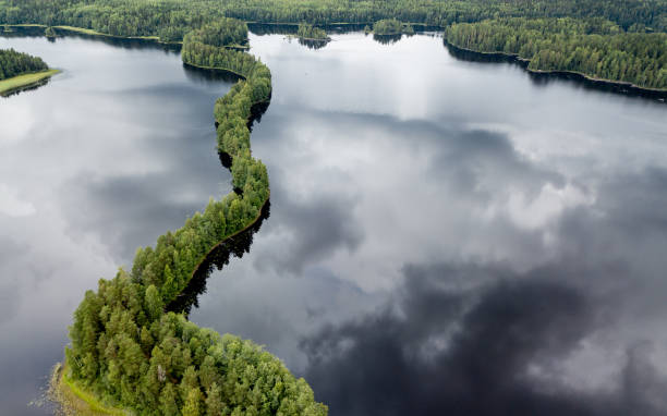 vista aerea sul parco nazionale di liesjarvi, finlandia - finlandia laghi foto e immagini stock