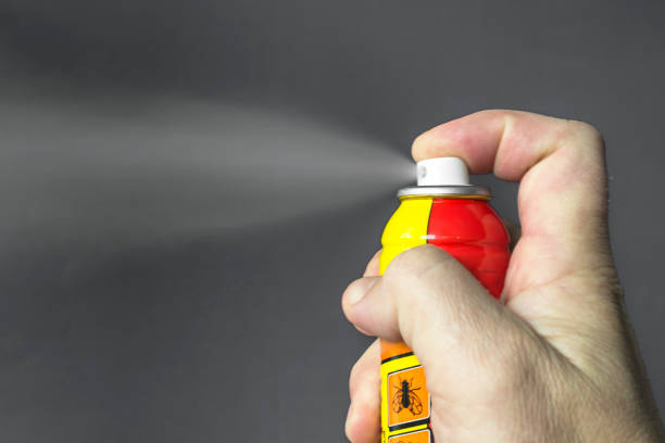 Aerosol for the control of insects. stock photo