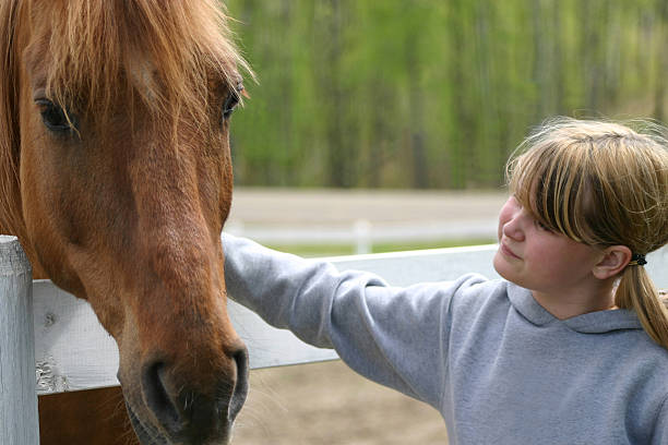 Affectionate Girl with Horse stock photo