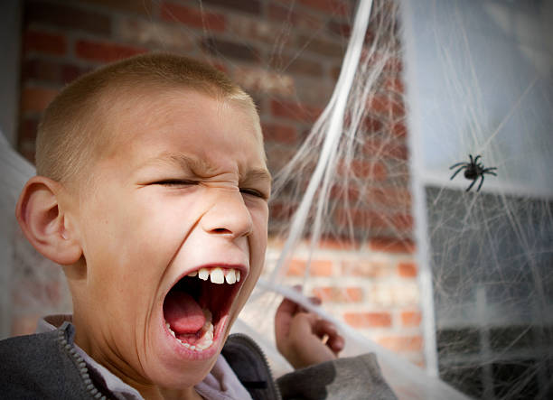 Afraid of Spiders  arachnophobia stock pictures, royalty-free photos & images