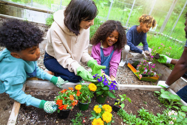291 Mother Teaching Her Children How To Garden Stock Photos, Pictures &  Royalty-Free Images - iStock