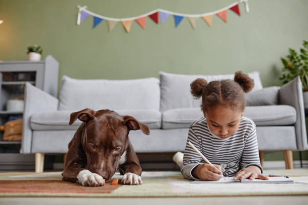 African American Girl with Big Dog at Home stock photo