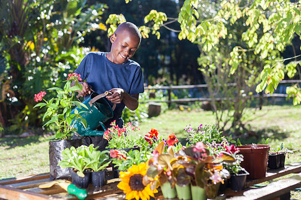 African boy watering his plants with a watering can stock photo